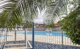 Fotos Colônia de Férias