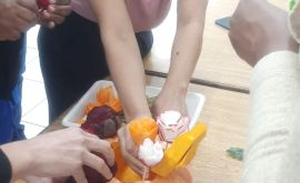Formatura: Curso de Esculturas em Frutas e Legumes