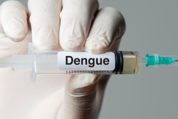 Dengue é considerada epidemia em seis bairros de SP após registrarem mais de 300 casos a cada 100 mil habitantes