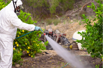 Brasil bate recorde na liberação de agrotóxicos e defensivos biológicos em 2025